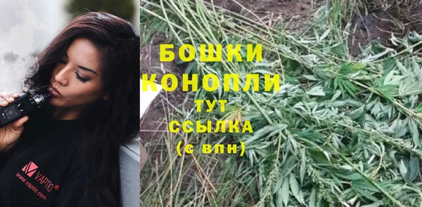 винт Ельня