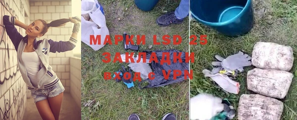 винт Ельня