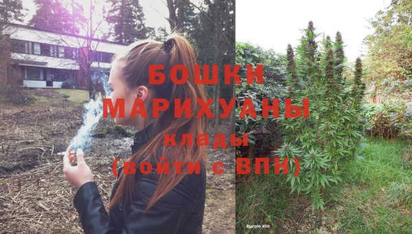 винт Ельня