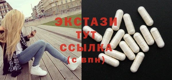 винт Ельня
