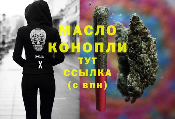 винт Ельня