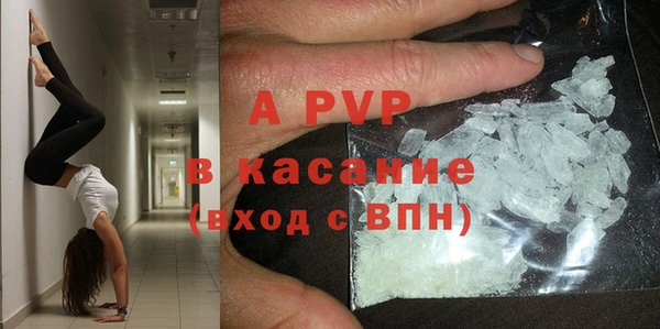 винт Ельня