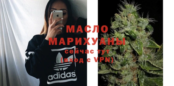 винт Ельня