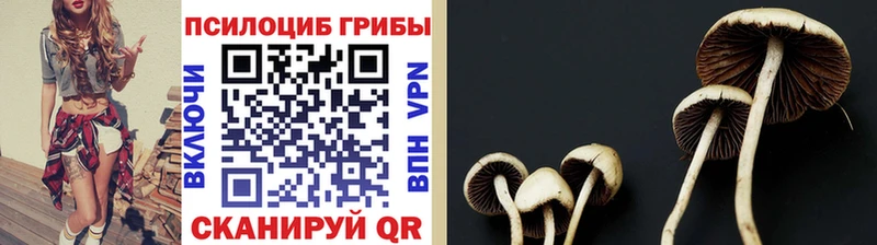 Галлюциногенные грибы Magic Shrooms  Купить где  Калтан 